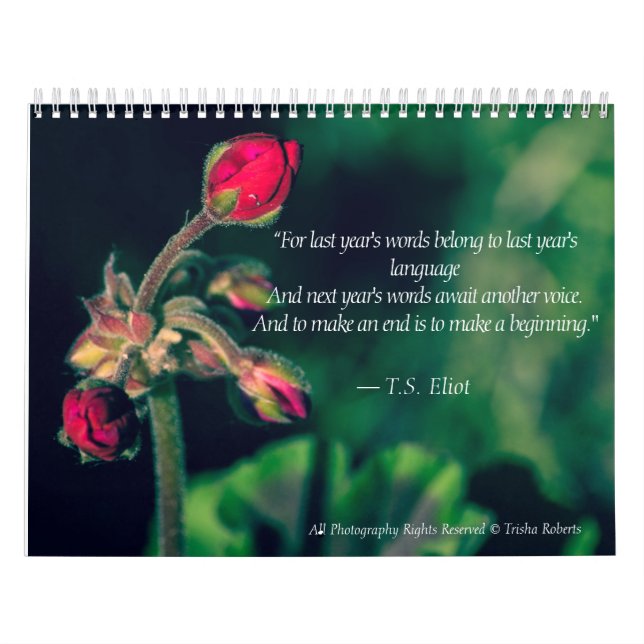Beau calendrier 2018 de photographie de variété (Protection)
