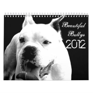 Beau calendrier de chien de Bullys 2012