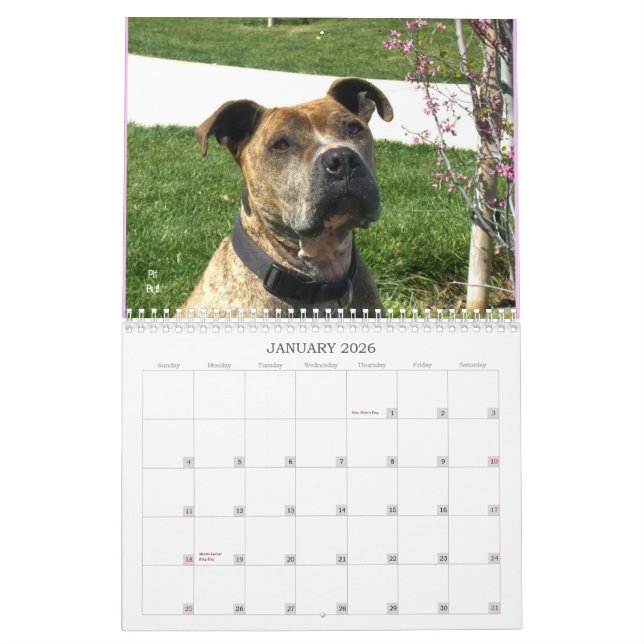 Beau calendrier de chien de Bullys 2012 (Jan 2026)