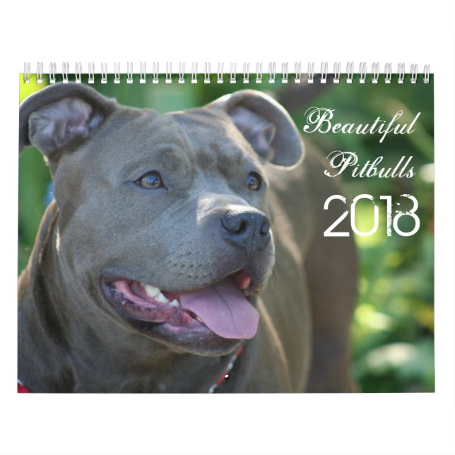 Beau calendrier de chien de Pitbulls 2018 (Protection)