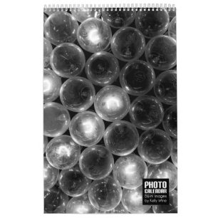 Beau calendrier de photo de B&W - vin de Kelly