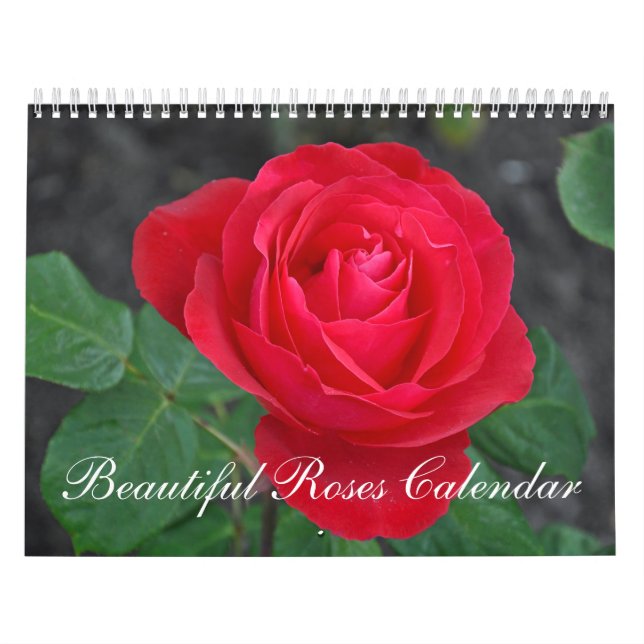Beau calendrier de roses (Protection)
