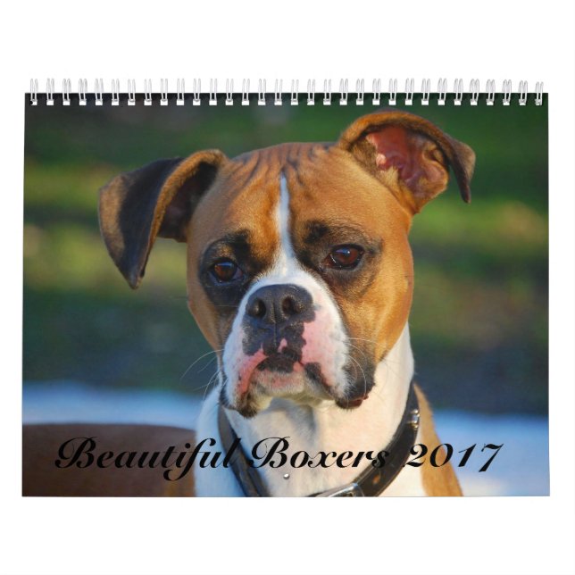 Beau calendrier des boxeurs 2017 (Protection)