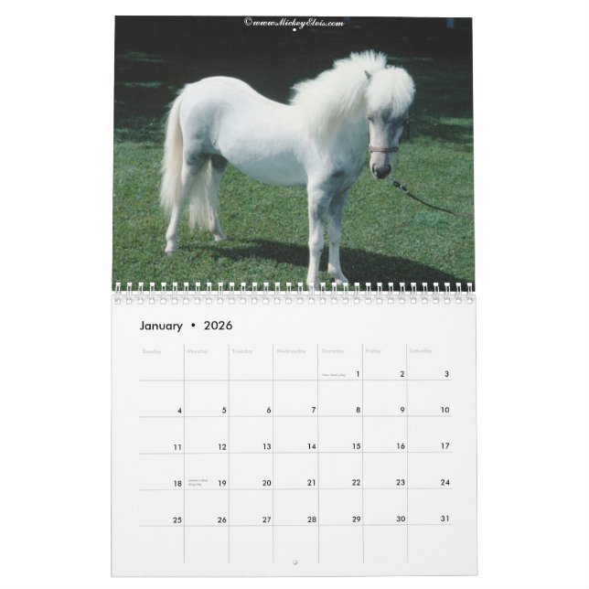 Beau calendrier du cheval 2010 (Jan 2026)