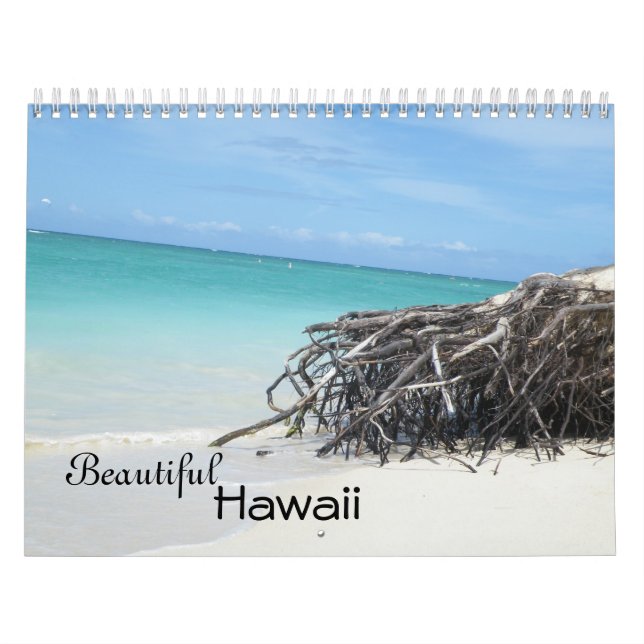Beau calendrier Hawaii (Protection)