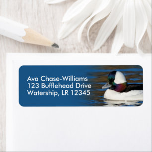 Beau canard à tête de lit à l'étang d'hiver