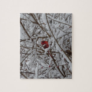 Beau Cardinal Rouge dans Puzzle d'arbre rempli de 