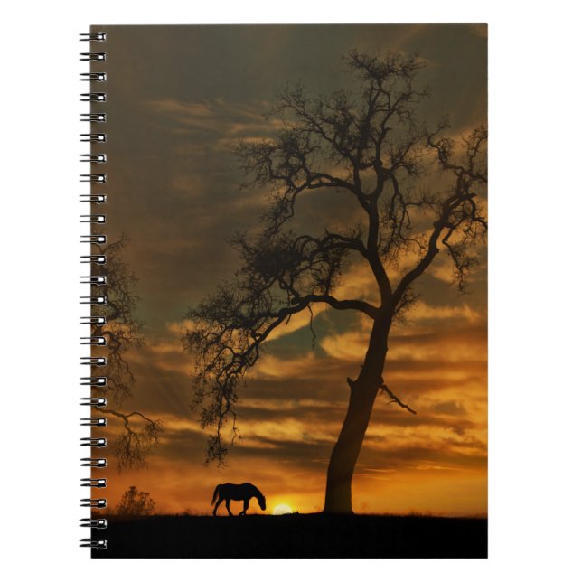 Beau Carnet à cheval (Devant)