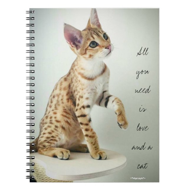 Beau carnet d'amoureux des chats (Devant)