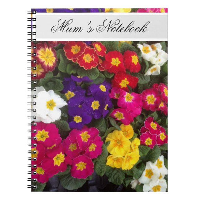 Beau Carnet de fleurs de Polyanthus brillant (Devant)