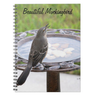 Beau Carnet Mockingbird Birdbath