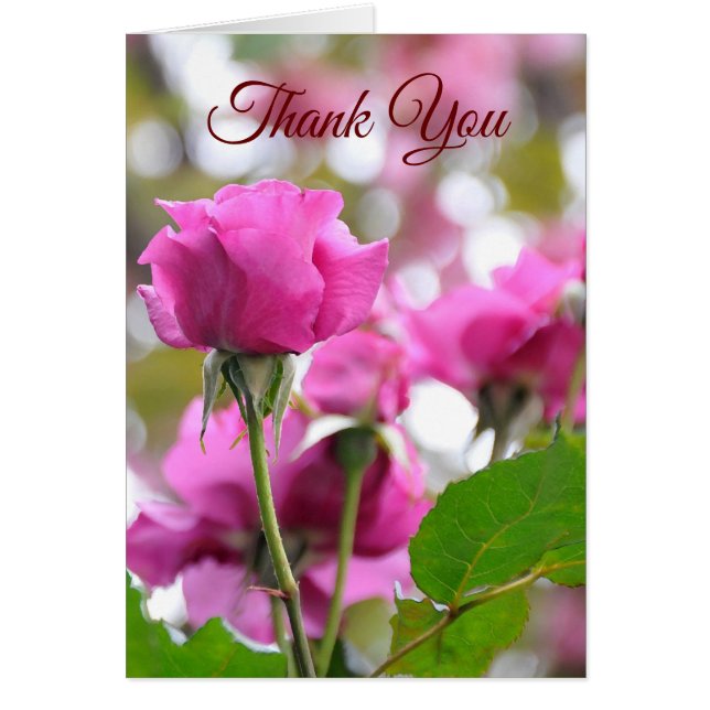Beau Carte de remerciements Rose rose épouvantable (Devant)