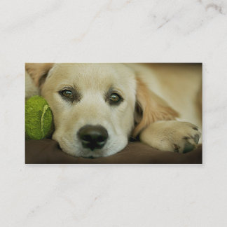 Beau carte de visite de chiot