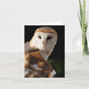 Beau carte pour notes de hibou de grange