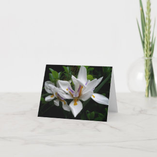Beau carte pour notes Fleurs