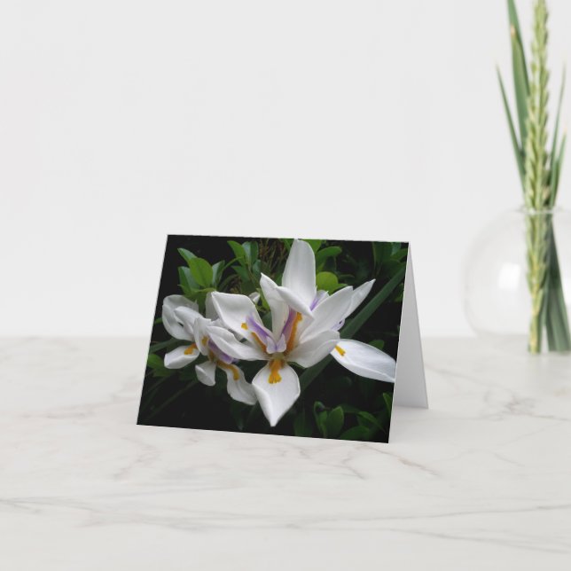Beau carte pour notes Fleurs (Devant)
