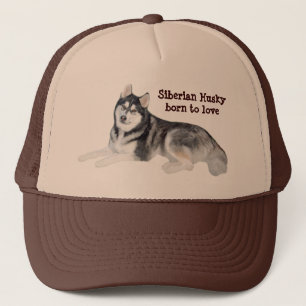 Beau casquette de chien de traîneau sibérien