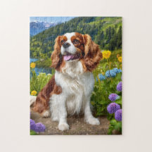 Beau Cavalier King Charles spaniel puzzle