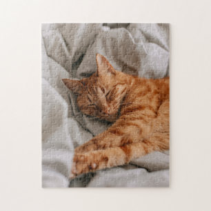 Beau Chat à Dormir Orange Puzzle