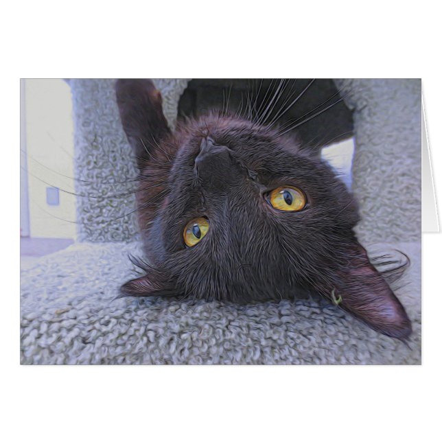 Beau chat noir (Devant horizontal)