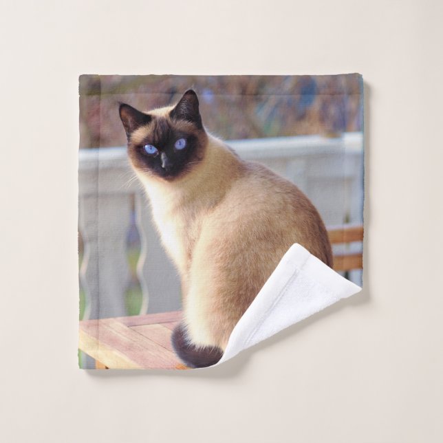 Beau chat siamois avec yeux bleus (Gant de toilette)