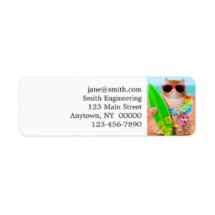 Beau chat surfeur sur la plage