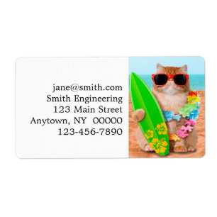 Beau chat surfeur sur la plage