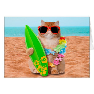 Beau chat surfeur sur la plage