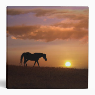 Beau Cheval au coucher du soleil 3 anneau Classeur