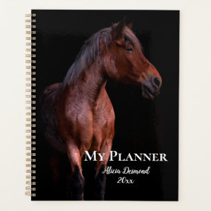 Beau cheval Brown Thoroughbred