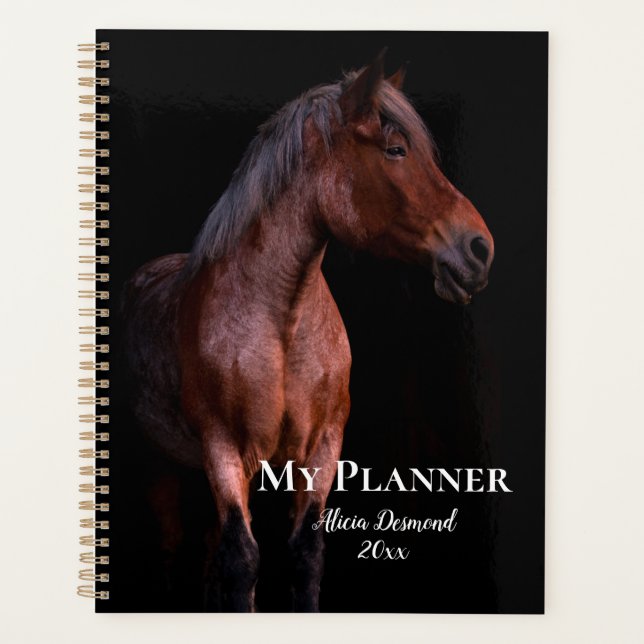 Beau cheval Brown Thoroughbred (Devant)