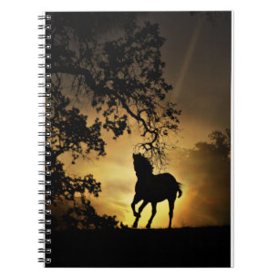 Beau cheval dans le carnet de coucher du soleil