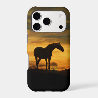 Beau Cheval Fort Silhouetté Coucher De Soleil