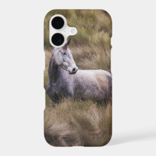 Beau Cheval gris coloré