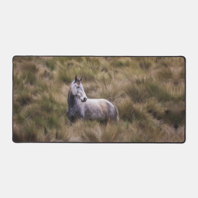 Beau Cheval gris coloré (Recto)