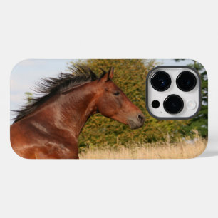 Beau cheval iPhone / coque ipad