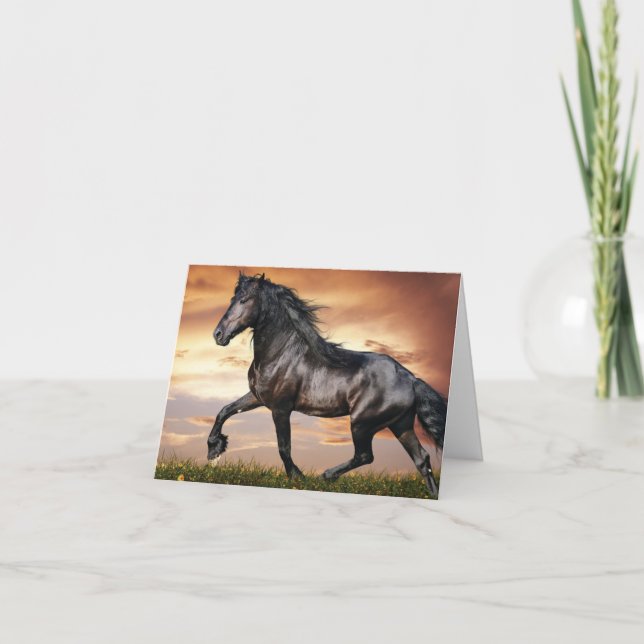 Beau Cheval Noir (Devant)