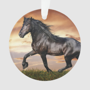 Beau Cheval Noir