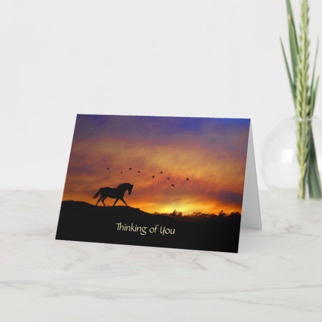 Beau cheval penser à votre carte (Devant)