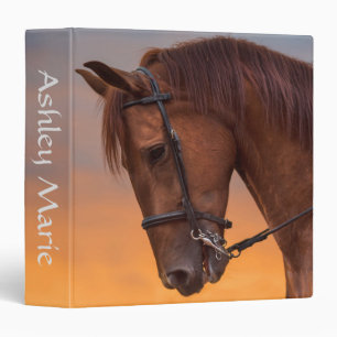Beau Cheval Thoroughbred Classeur de ceinture 3 