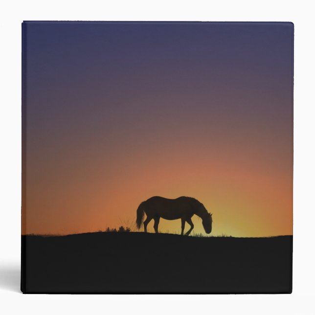 Beau Cheval Trois Classeur Bague (Devant)