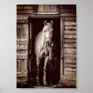 Beau Chevaux Rustique Brown Grange Poster