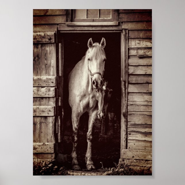 Beau Chevaux Rustique Brown Grange Poster (Devant)