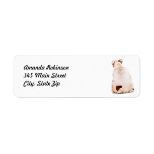 Beau chien drôle blanc Bulldog