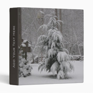 Beau classeur de scène d'hiver