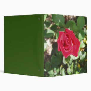 Beau Classeur Rose Rouge