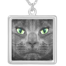 Beau collier gris de chat de George