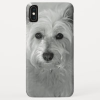Beau coque iphone de Westie Dog