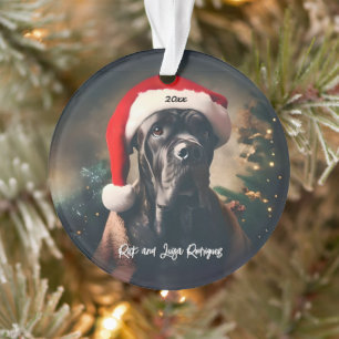 Beau corso de canne avec chapeau de Santa