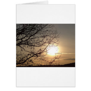 Beau coucher de soleil avec rampes